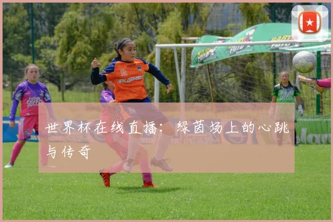 世界杯在线直播：绿茵场上的心跳与传奇