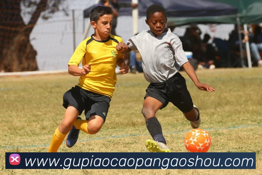电竞直播专区